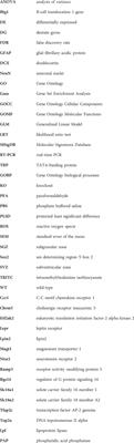 Transcriptome analysis reveals genes associated with stem cell activation by physical exercise in the dentate gyrus of aged p16Ink4a knockout mice